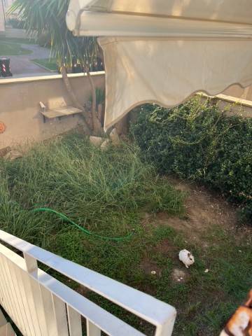 Appartamento a Livorno - Foto 5