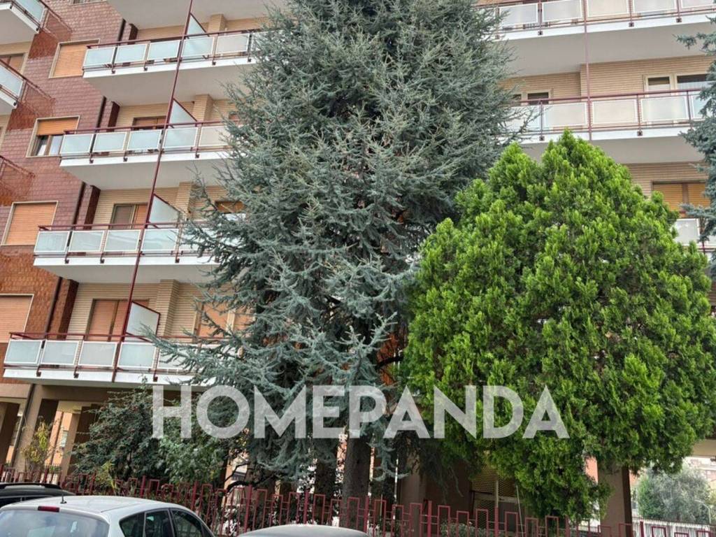 Appartamento a Collegno in Via Cesare Battisti, 109 - Foto 4