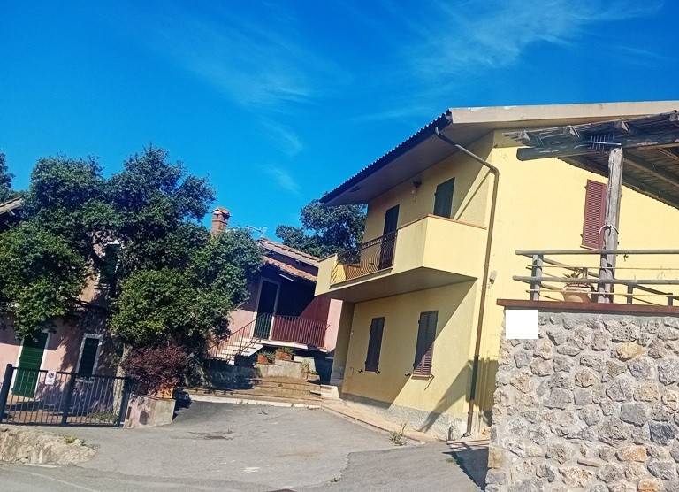 Appartamento a Capalbio in Via Vittorio Veneto - Foto 3