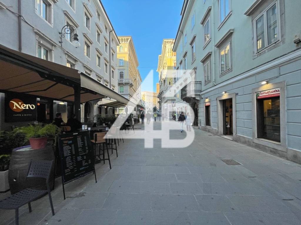 Appartamento a Trieste in Via 30 Ottobre, 13 - Foto 3
