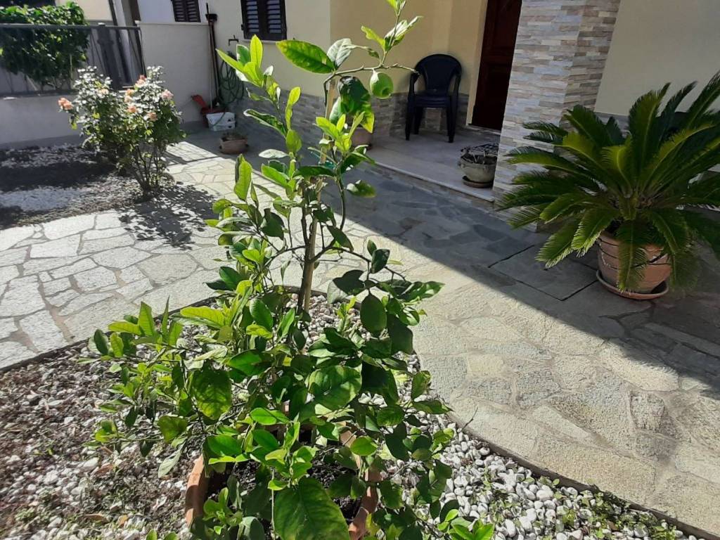 Casa indipendente a Rosignano marittimo - Foto 2