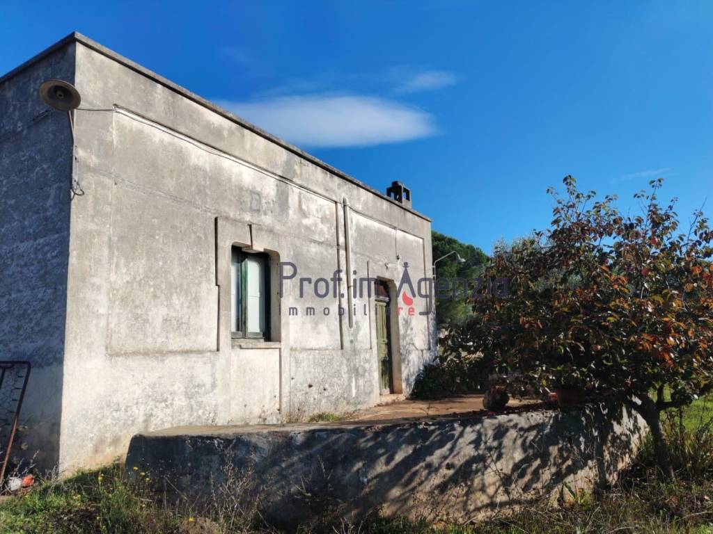 Rustico / casale a Carovigno - Foto 2