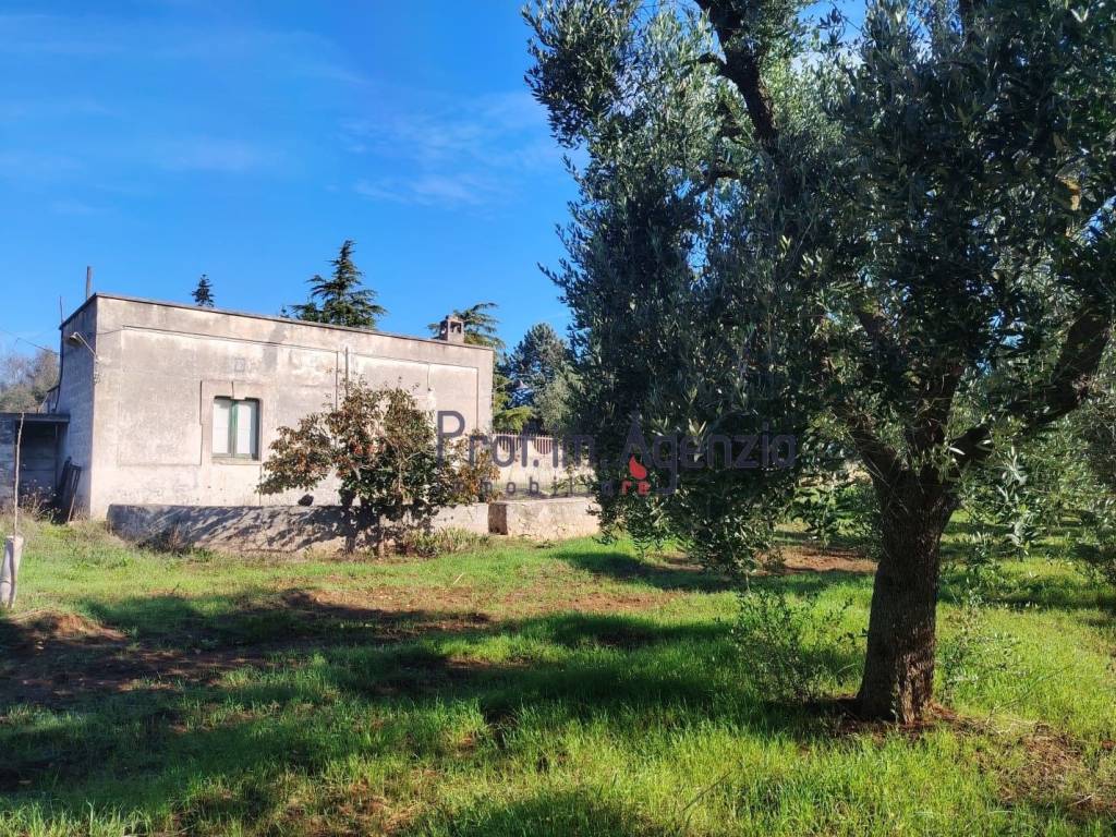 Rustico / casale a Carovigno - Foto 3