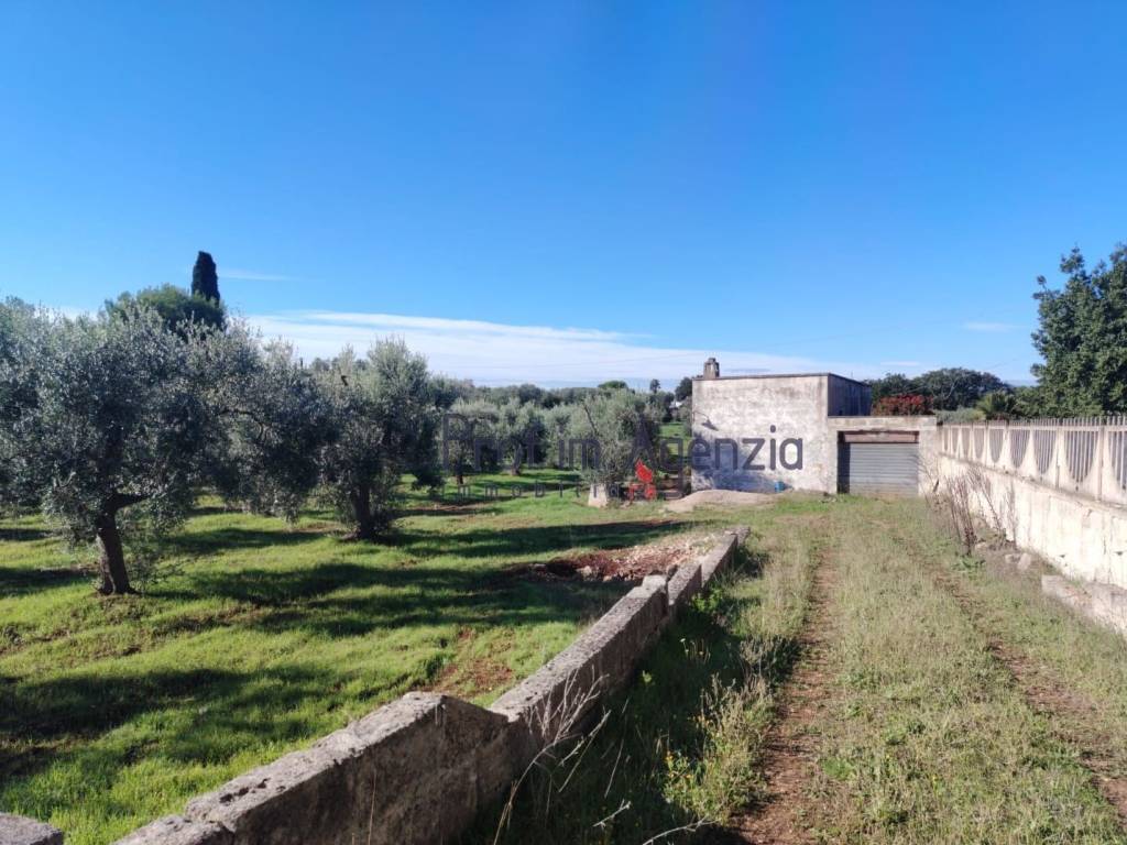 Rustico / casale a Carovigno - Foto 5
