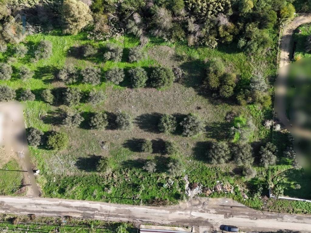 Terreno a Palagonia in C.DA ALBANELLO SNC. - Foto 2