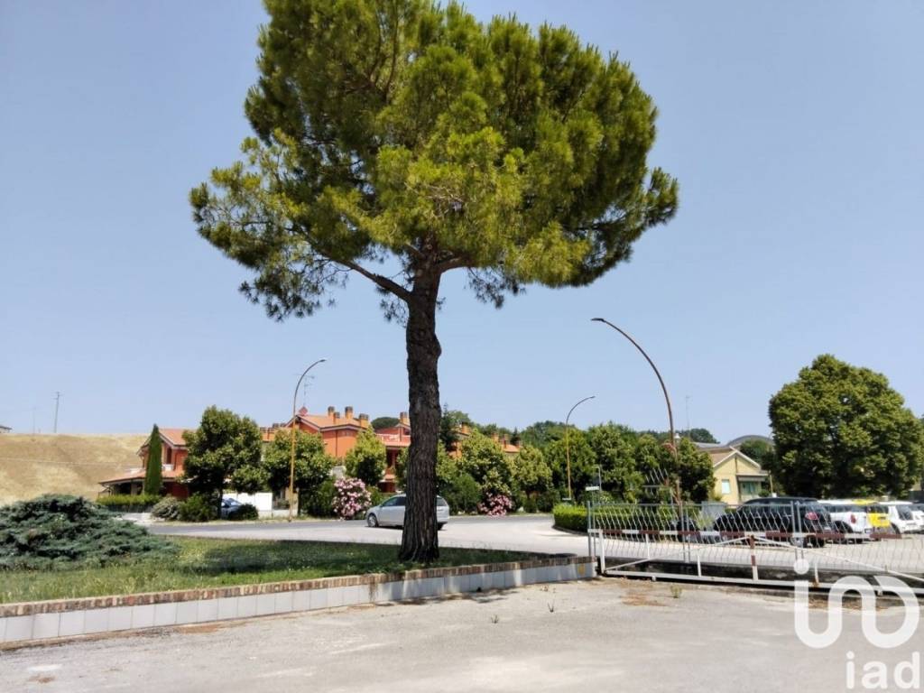 Immobile a Monte porzio in Via Cesanense - Foto 3
