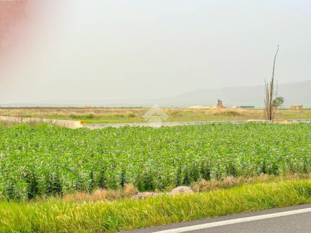 Terreno a San severo in Strada SS 272 - Foto 3