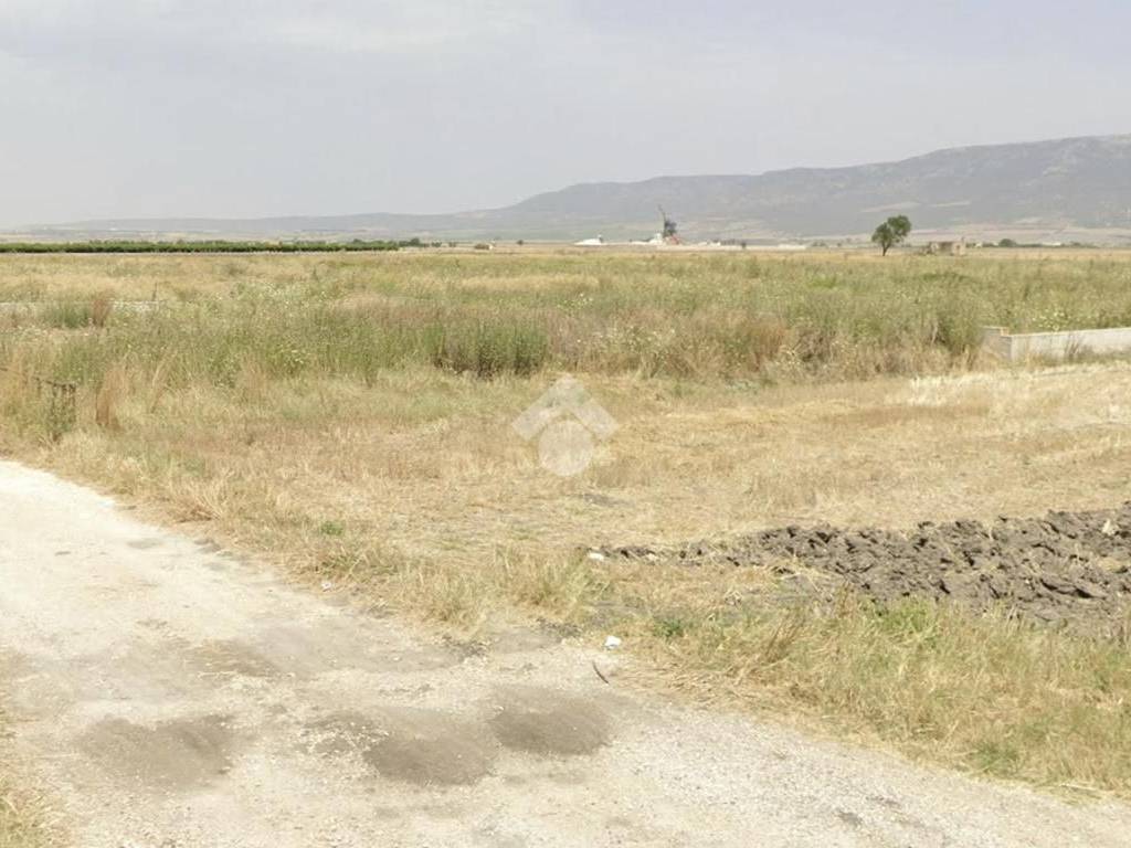 Terreno a San severo in Strada SS 272 - Foto 4