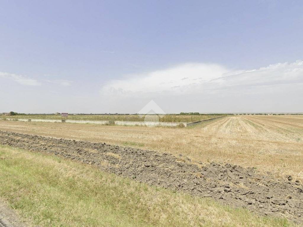 Terreno a San severo in Strada SS 272 - Foto 5