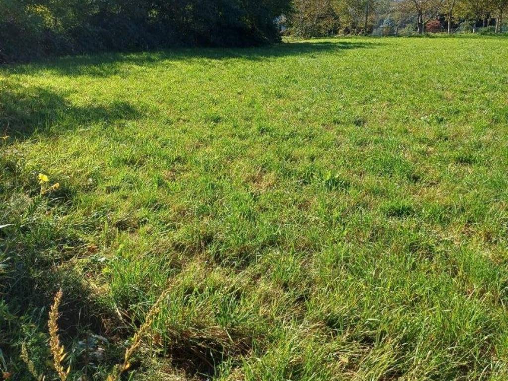 Terreno a San fermo della battaglia in Via Olcellera - Foto 3