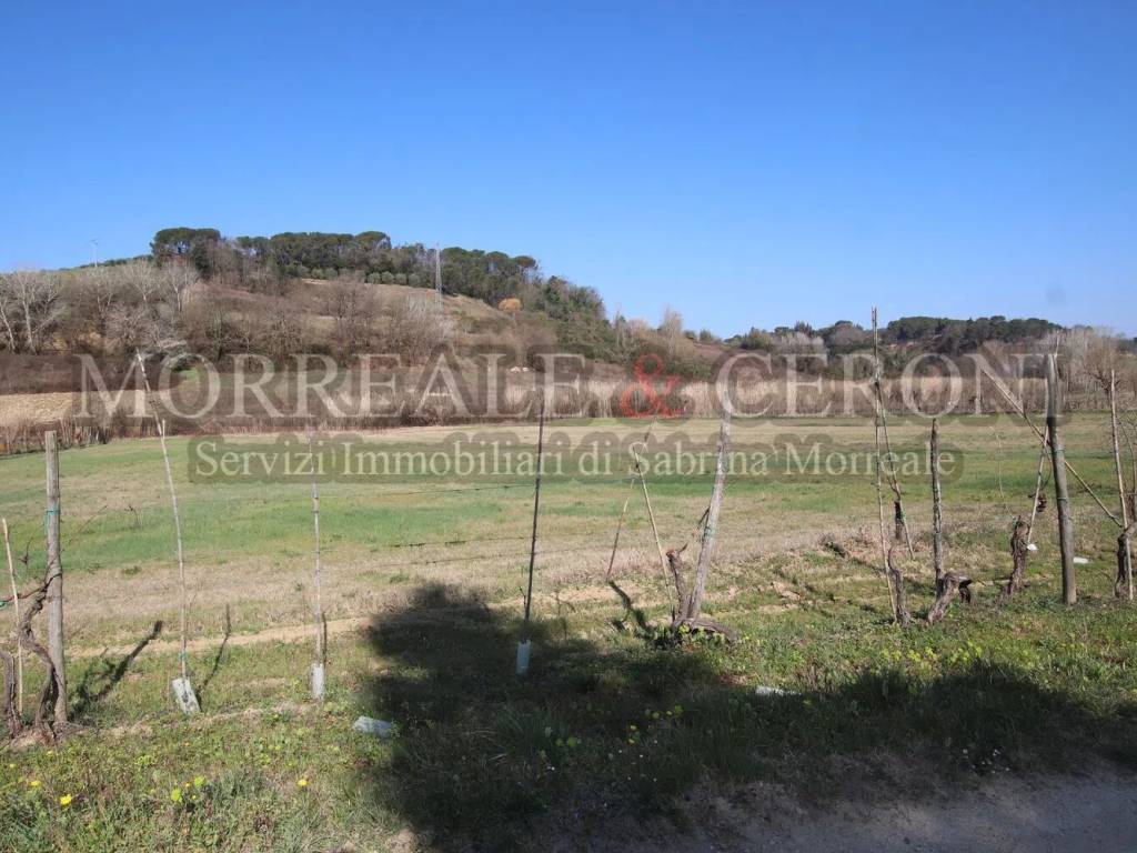 Terreno a Castelfiorentino - Foto 4