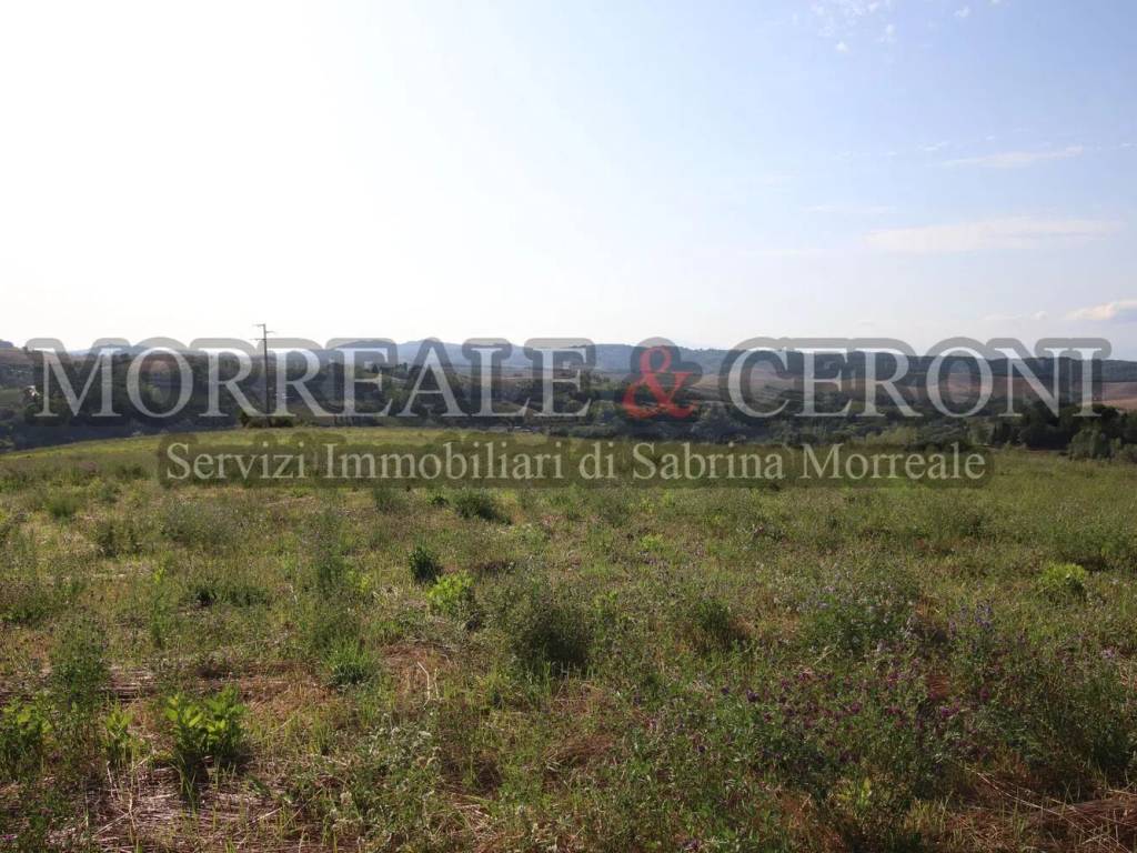 Terreno a Montaione - Foto 2