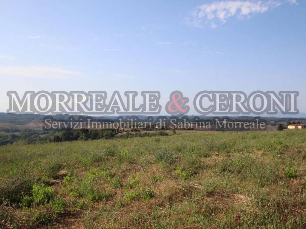 Terreno a Montaione - Foto 4
