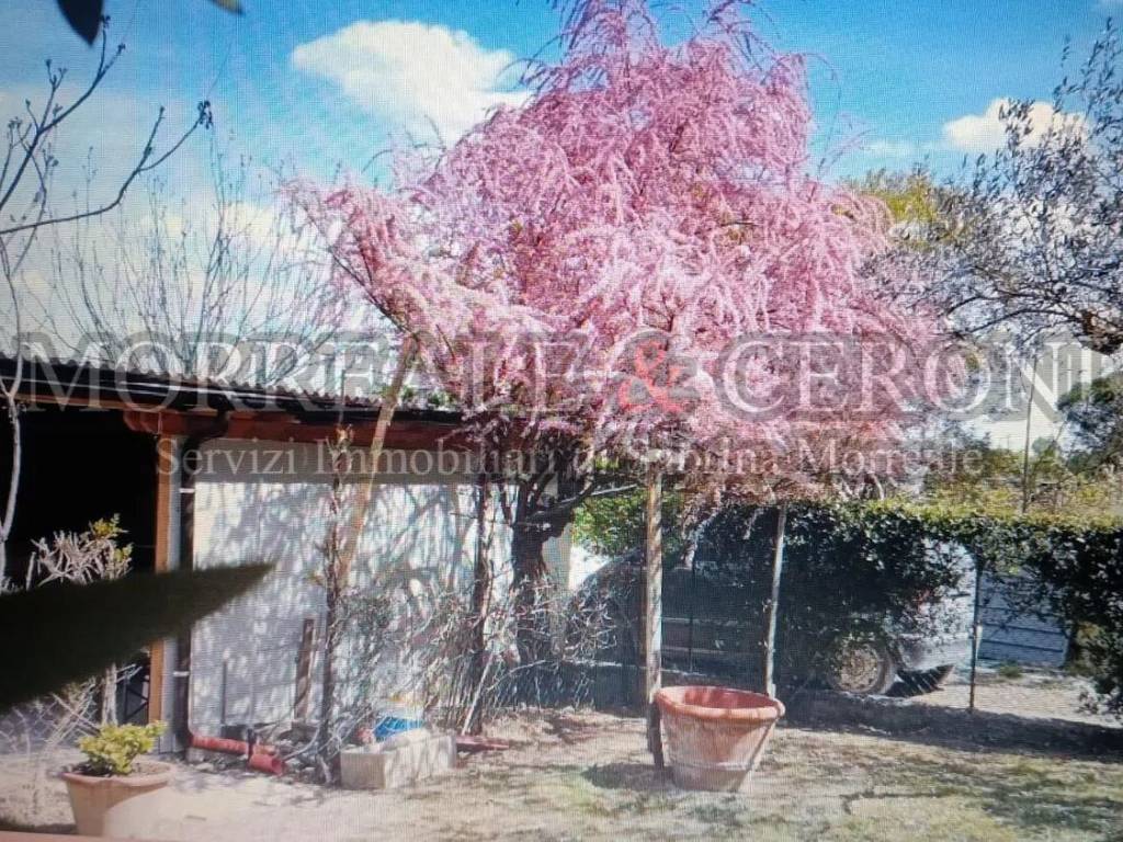 Appartamento a Castelfiorentino in Via Orazio Bacci No Number - Foto 3