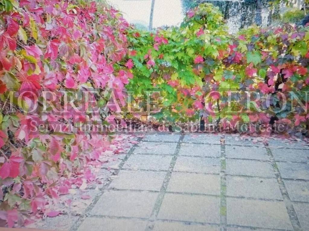 Appartamento a Castelfiorentino in Via Orazio Bacci No Number - Foto 4