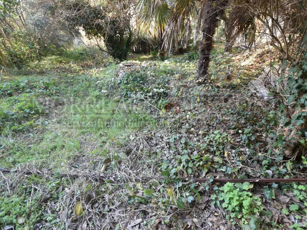 Appartamento a Castelfiorentino in Via Iv Novembre No Number - Foto 2