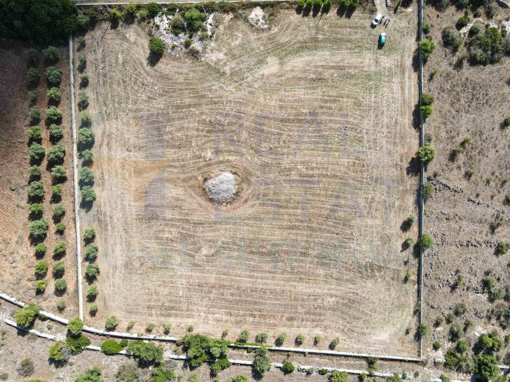 Terreno a Noto in Via Tommaso Fazello, 228 - Foto 5