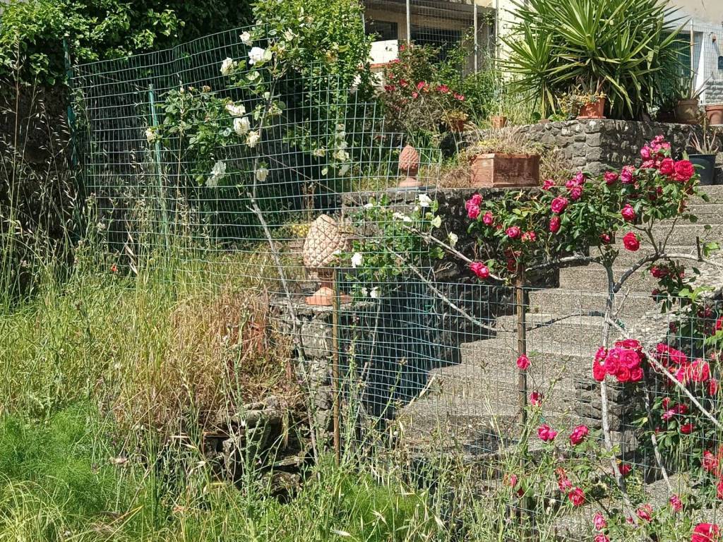 Casa indipendente a Pistoia in Via Modenese - Foto 4