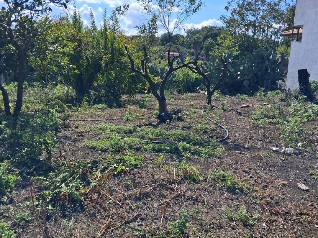 Terreno a Aci bonaccorsi in Via Antonio Aniante - Foto 4