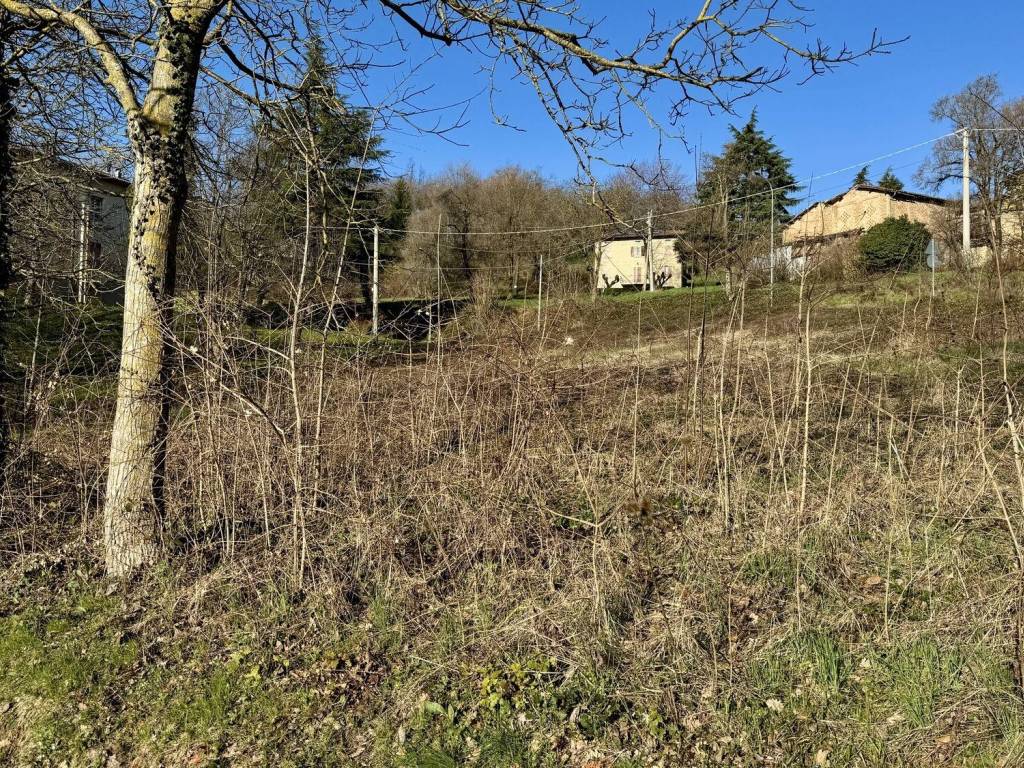 Terreno a Carpineti in Via Cantigalli - Foto 2