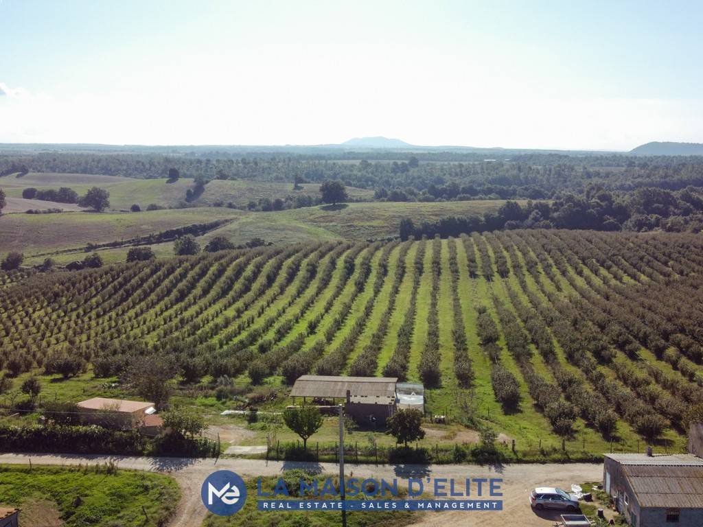 Terreno a Pitigliano in Località Porcarecce - Foto 3