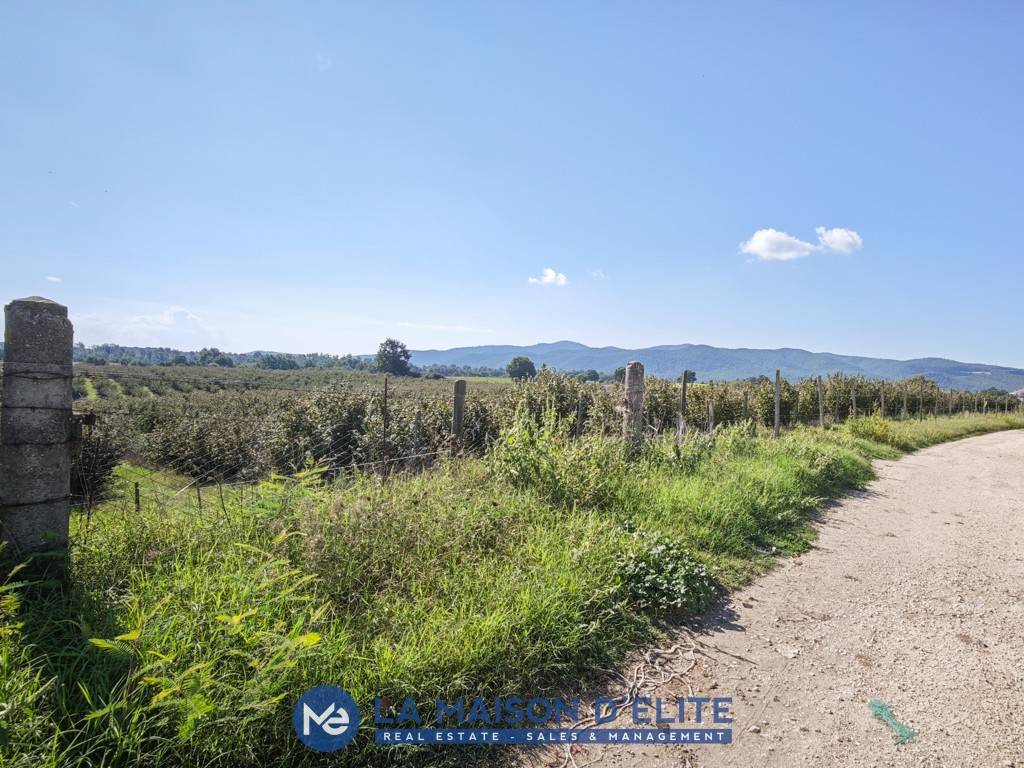 Terreno a Pitigliano in Località Porcarecce - Foto 4