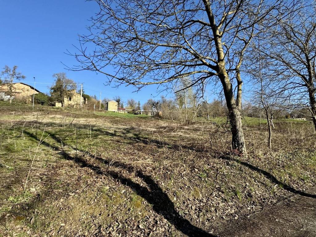 Terreno a Carpineti in Via Cantigalli - Foto 2