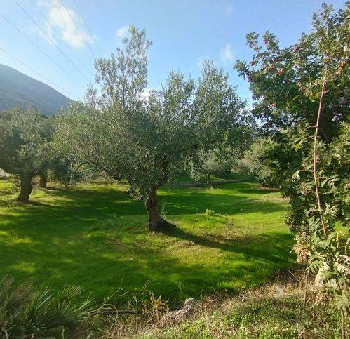 Terreno a Altavilla milicia in Via Piano Sperone 18 - Foto 3