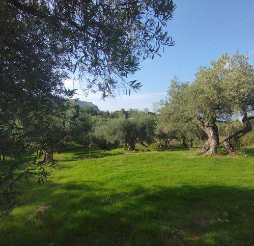 Terreno a Altavilla milicia in Via Piano Sperone 18 - Foto 5