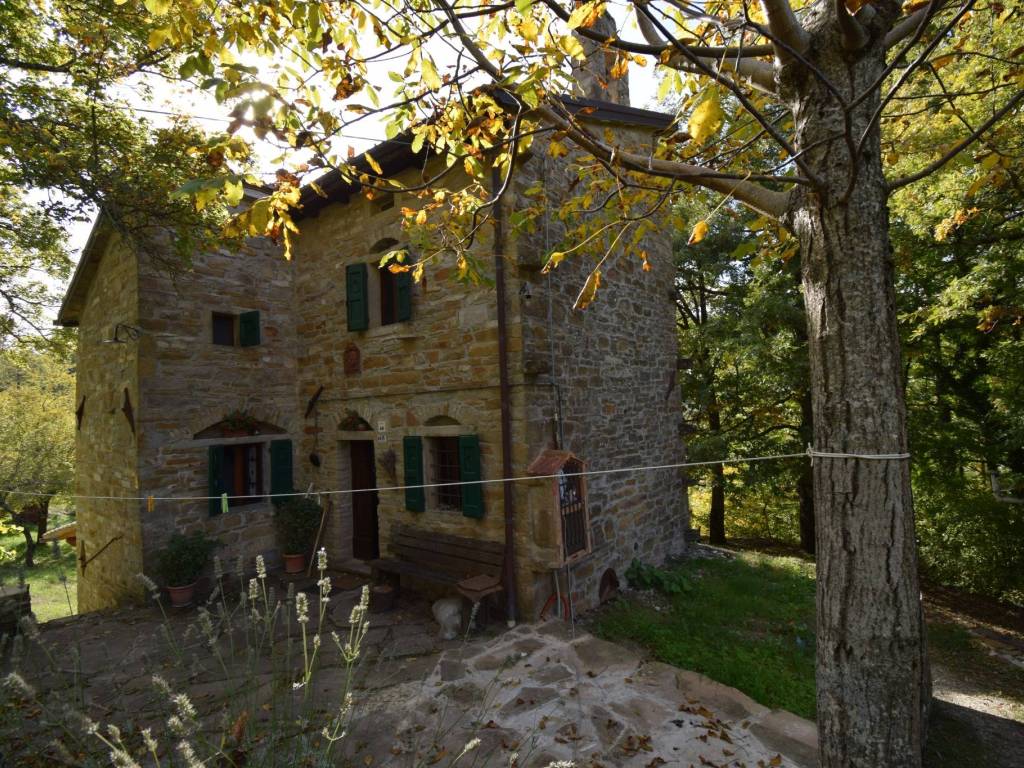 Rustico / casale a San benedetto val di sambro in Via delle Caselle - Foto 5