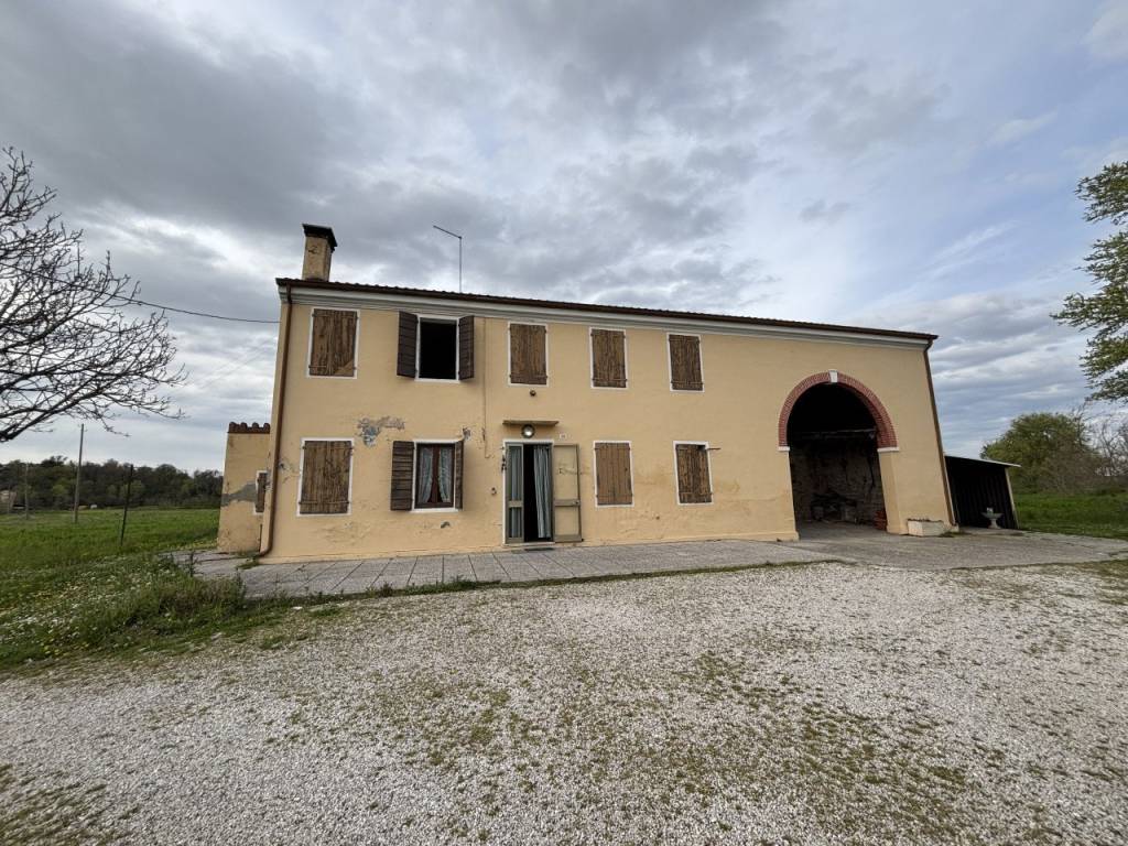 Terreno a Selvazzano dentro - Foto 5