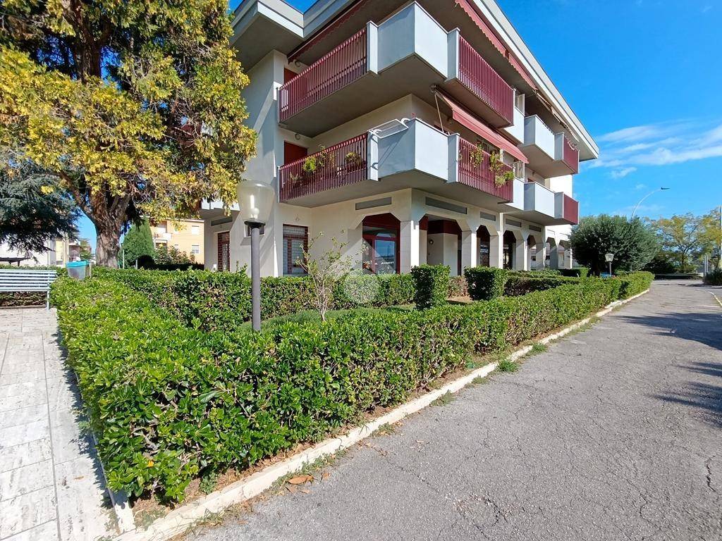 Appartamento a Pineto in Via SP27 - Foto 4