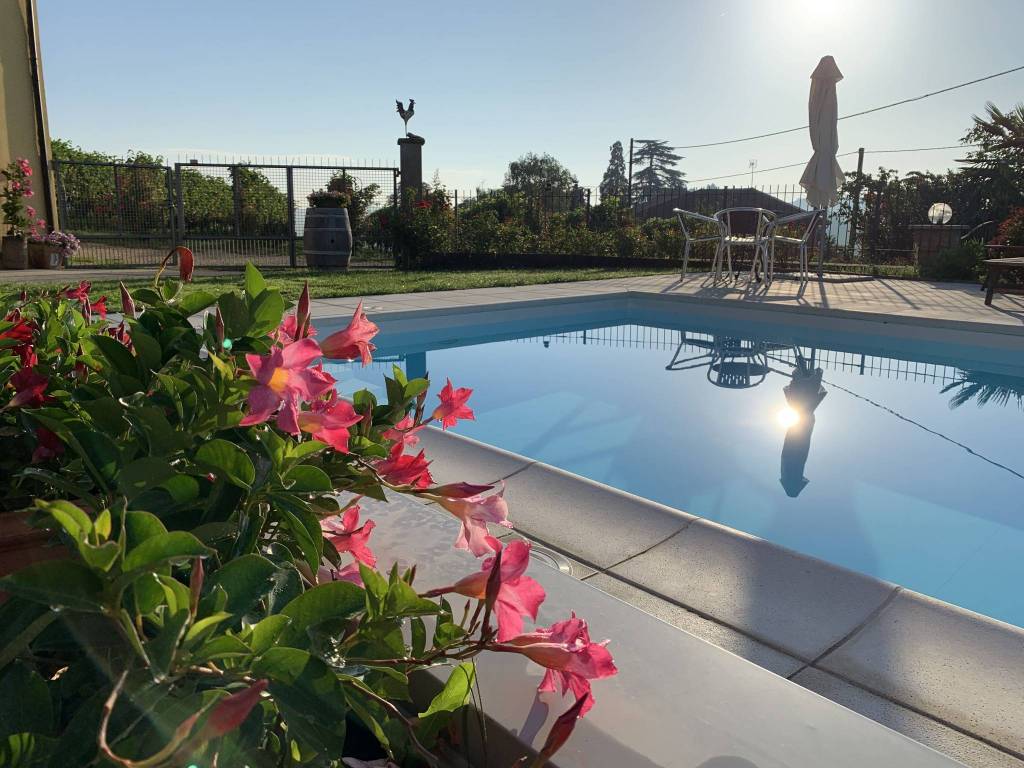 Rustico / casale a Agliano terme in Regione San Rocco - Foto 3