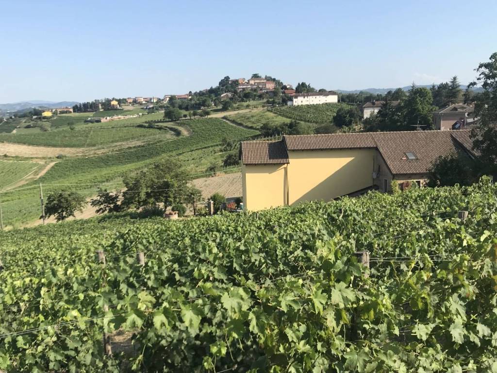 Rustico / casale a Agliano terme in Regione San Rocco - Foto 5