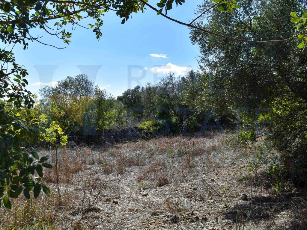 Terreno a Noto in Via Tommaso Fazello, 228 - Foto 2