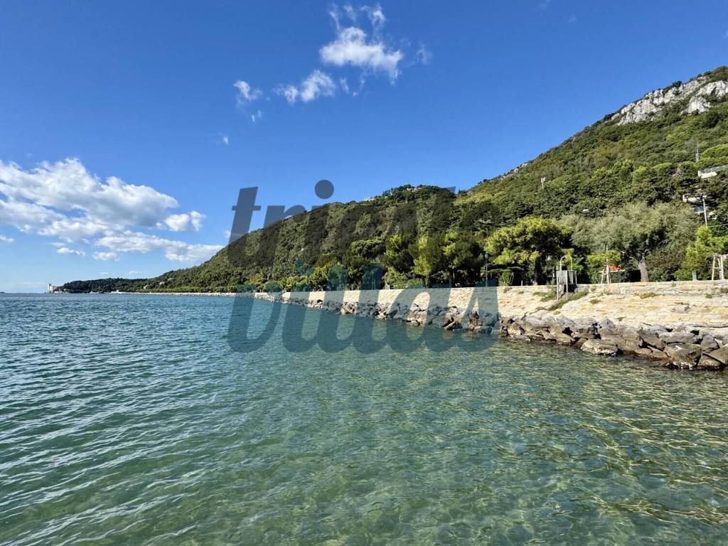 Appartamento a Trieste in VIALE MIRAMARE, 287 - Foto 3