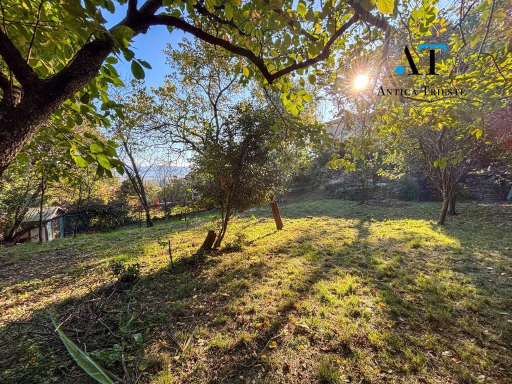 Terreno a Muggia in Località Pisciolon - Foto 2