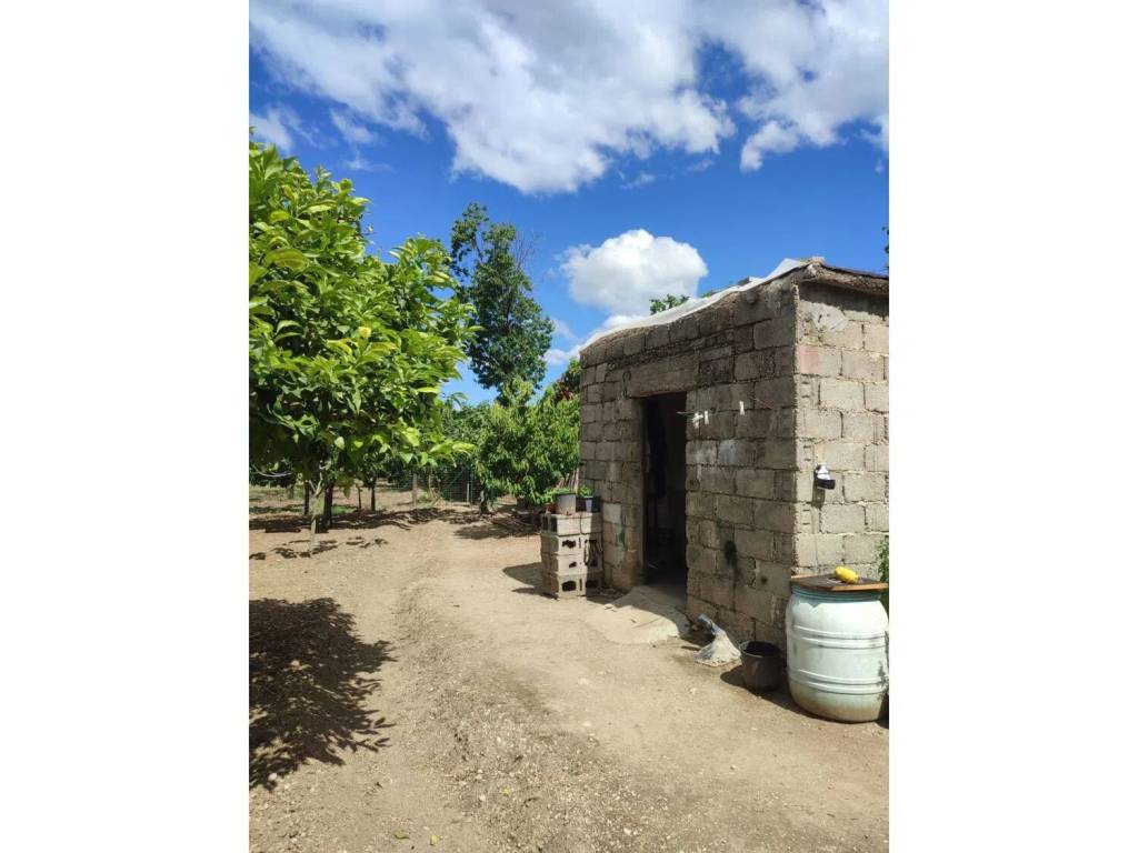 Terreno a Olevano sul tusciano in Via Grottapanne - Foto 2