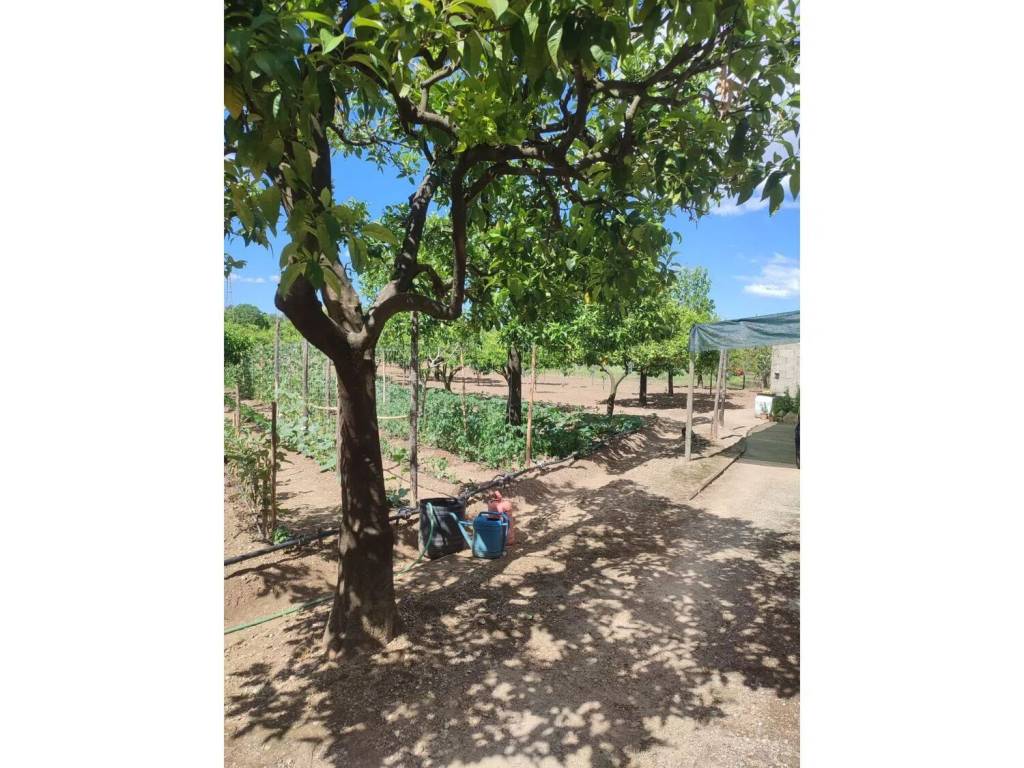 Terreno a Olevano sul tusciano in Via Grottapanne - Foto 4