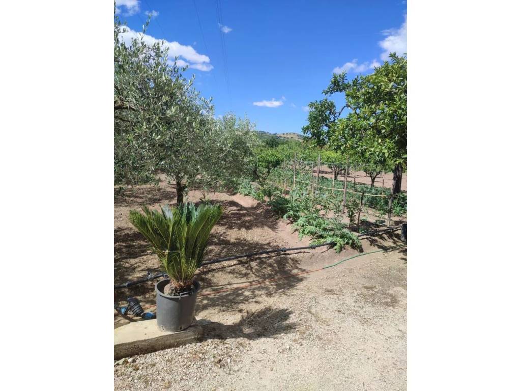 Terreno a Olevano sul tusciano in Via Grottapanne - Foto 5