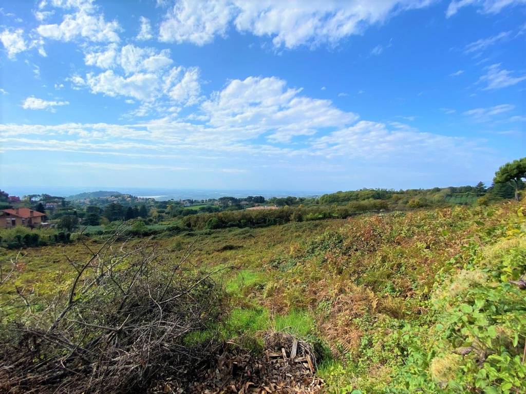 Terreno a Genzano di roma in Strada Provinciale Nemorense - Foto 4