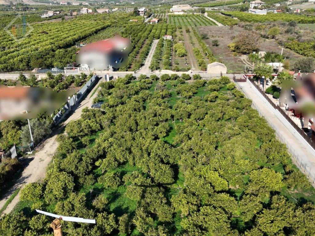 Terreno a Palagonia in Contrada Santuzza snc - Foto 2