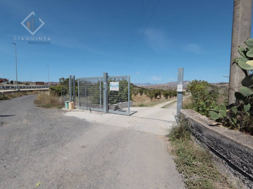 Terreno a Palagonia in Contrada Santuzza snc - Foto 4