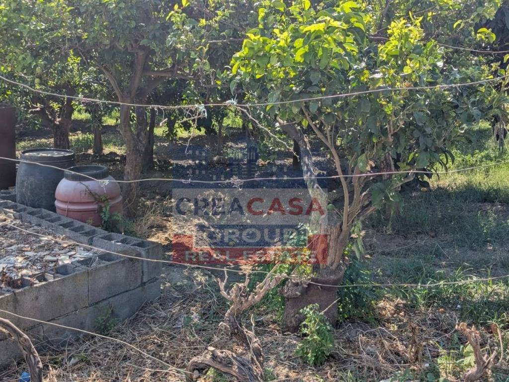 Terreno a Calatabiano - Foto 2