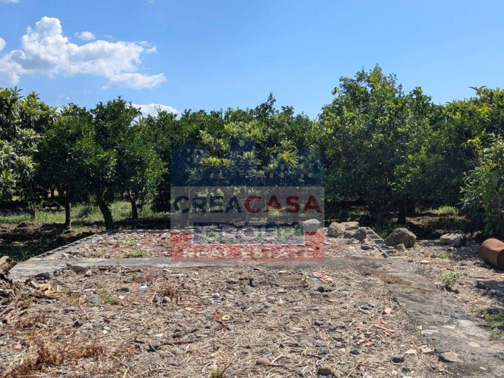 Terreno a Calatabiano - Foto 3