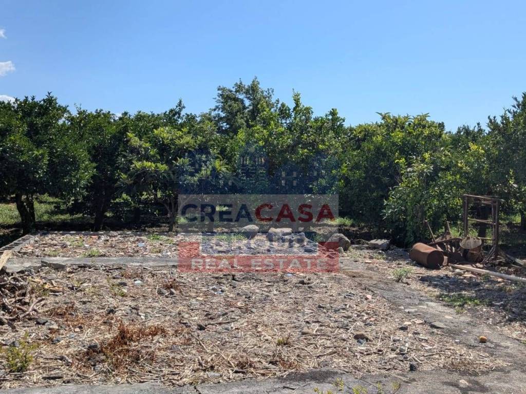 Terreno a Calatabiano - Foto 4
