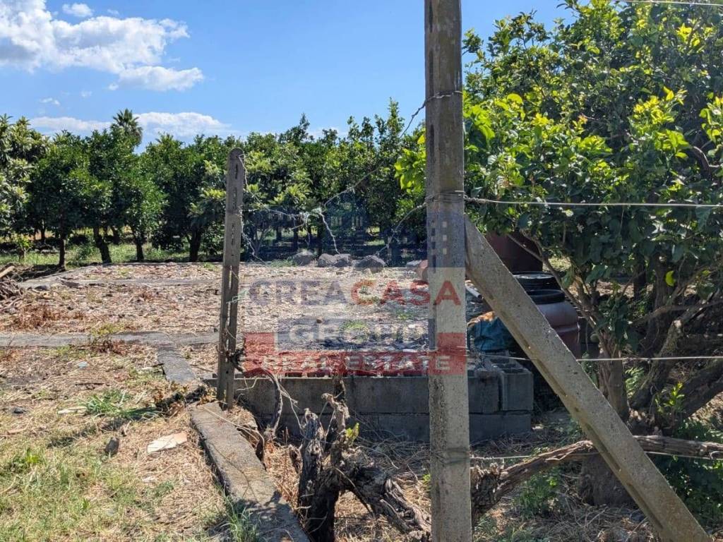 Terreno a Calatabiano - Foto 5