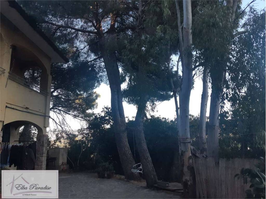 Villa a Portoferraio in Via Colle Reciso, 42 - Foto 3