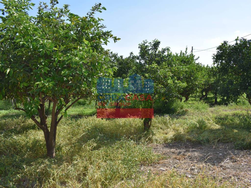 Terreno a Taormina in C.da Mare Provvido - Foto 4