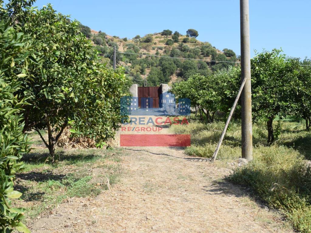 Terreno a Taormina in C.da Mare Provvido - Foto 5